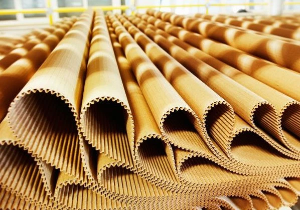 Paper Manufacturing: Market Trends and Outlook